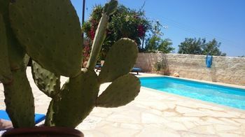 尼奥克瑞奥 Prickly Pear酒店 外观 照片
